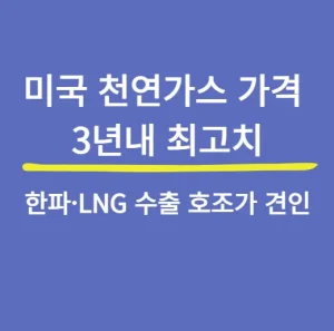 미국 천연가스 가격 3년래 최고치…한파·LNG 수출 호조가 견인 - image